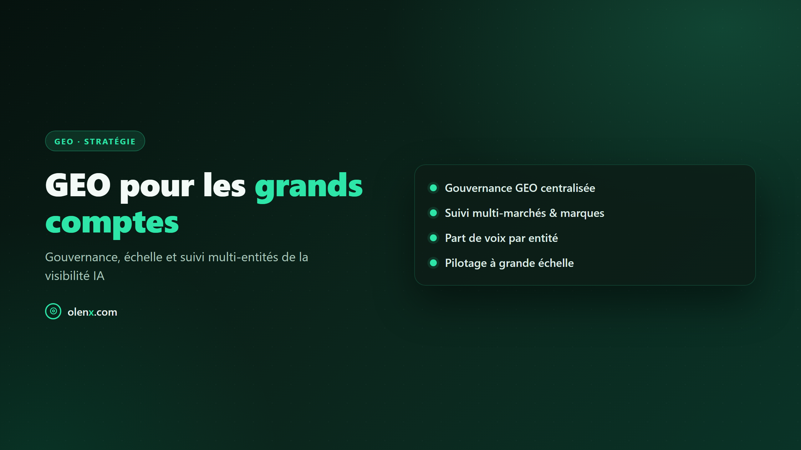 GEO pour les grands comptes